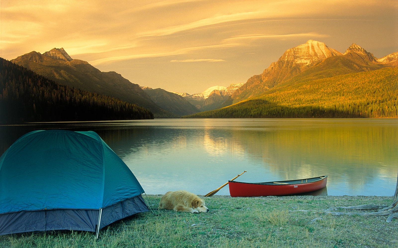 Camping, Bowman Lake, Glacier NP, MT